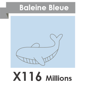 baleine_bleue