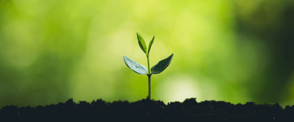 developpement_durable