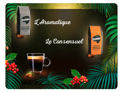 visuel_newsletter_bonka