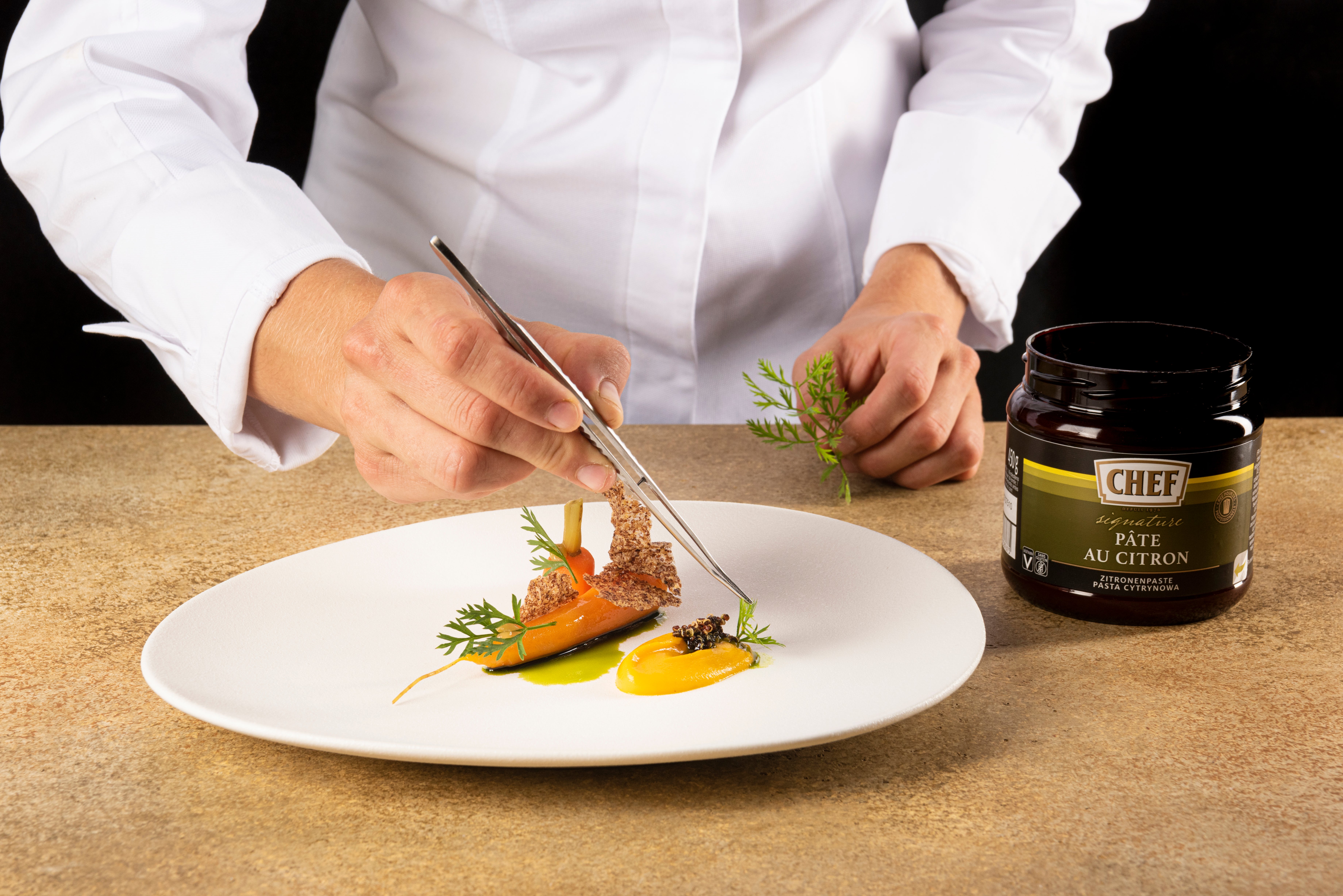 Picture content sirha article