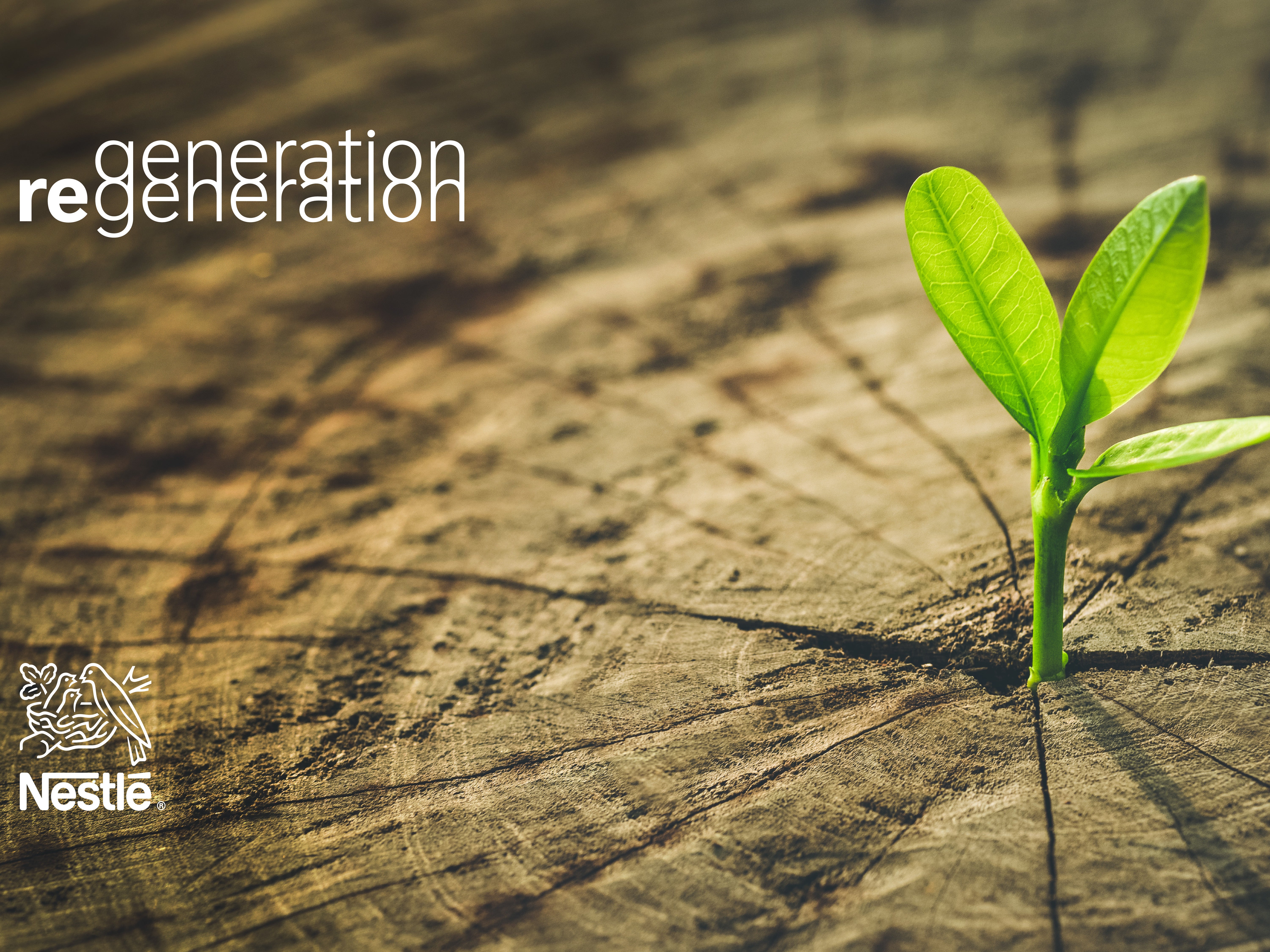 NOS ENGAGEMENTS Mini Homepage picture