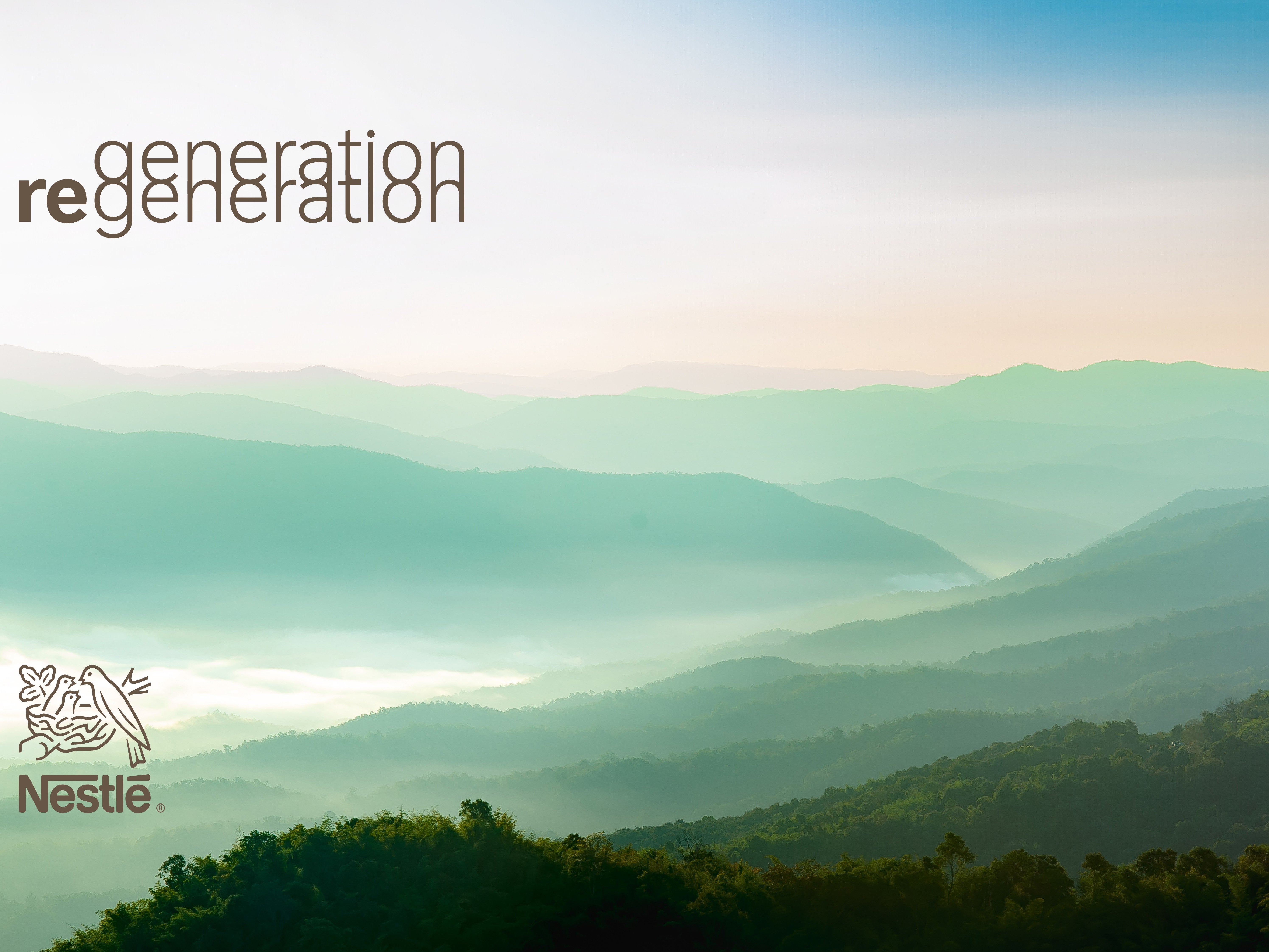 RECYCLABILITE picture