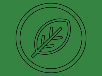 vege icon