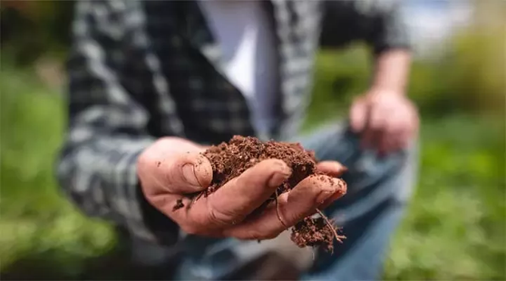 Actions sur émissions carbone