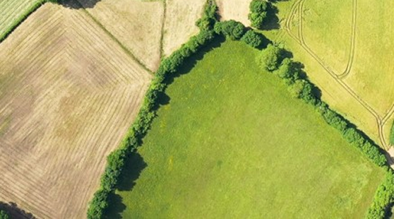 Image nutrition saine