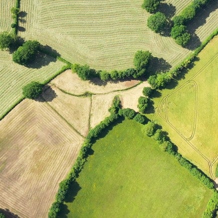 Visuel article durabilité