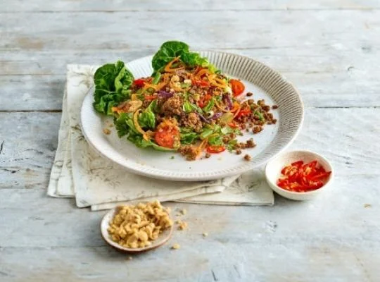 salade_thai_laab_nua_veggie