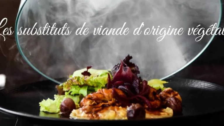 QUE CONTIENNENT LES SUBSTITUTS DE VIANDE D’ORIGINE VÉGÉTALE ?