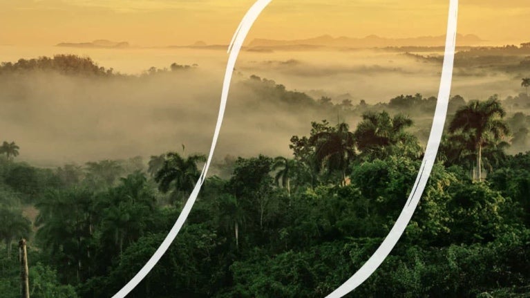NESCAFÉ®, un approvisionnement plus responsable-BANNER-IMG