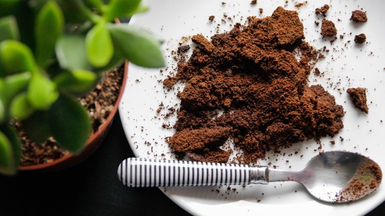 Une assiette avec des grains de café éparpillés et une cuillère rayée