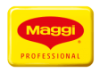 2019_maggi_professional_logo-rgb