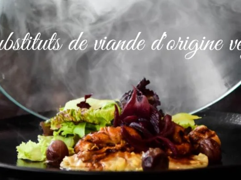 QUE CONTIENNENT LES SUBSTITUTS DE VIANDE D’ORIGINE VÉGÉTALE ?