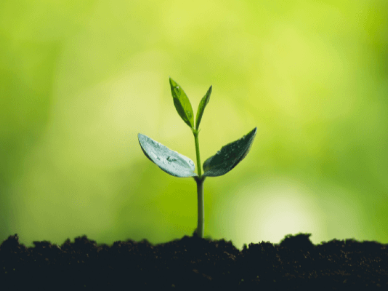 developpement_durable