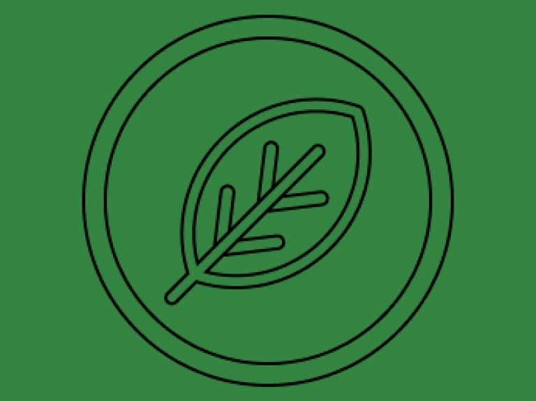 vege icon