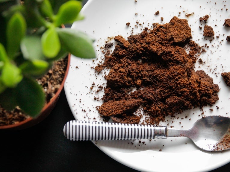 Une assiette avec des grains de café éparpillés et une cuillère rayée