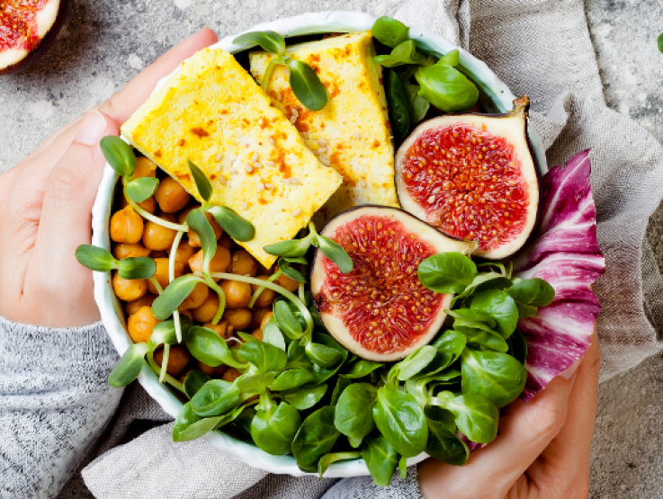 Nutrition et Sante Header Image