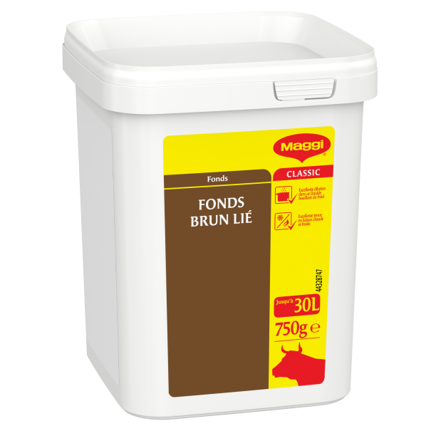 MAGGI Fonds brun lié 2