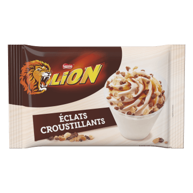 Produit Eclats Lion
