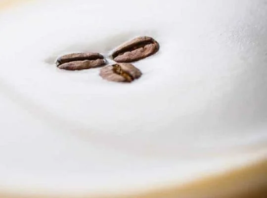 Hazelnut Shakerato