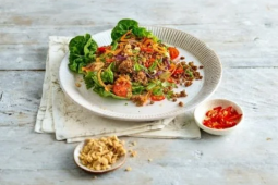 salade_thai_laab_nua_veggie