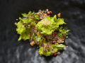 Quinoa as a Tabbouleh, Butternut, Lemon & Parsley