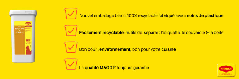 ban_article_maggi