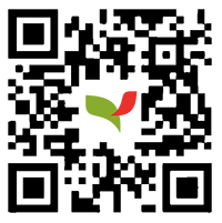 Code QR clair