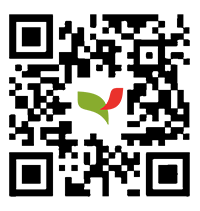Code QR clair
